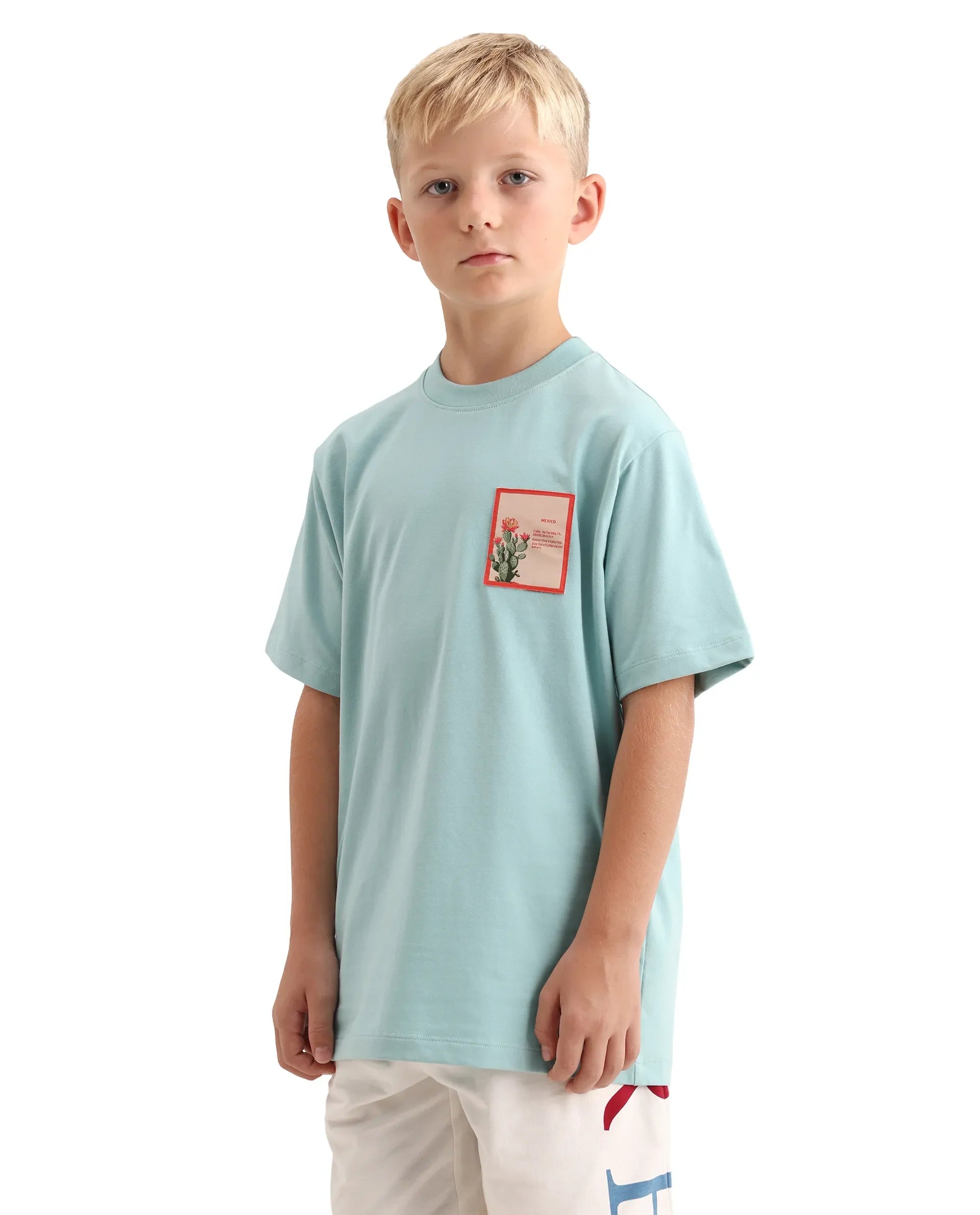 Rare Ones Kids Citz-26 Dusky Blue Cotton Blend Fabric Pull-On Closure Regular Fit T-Shirt