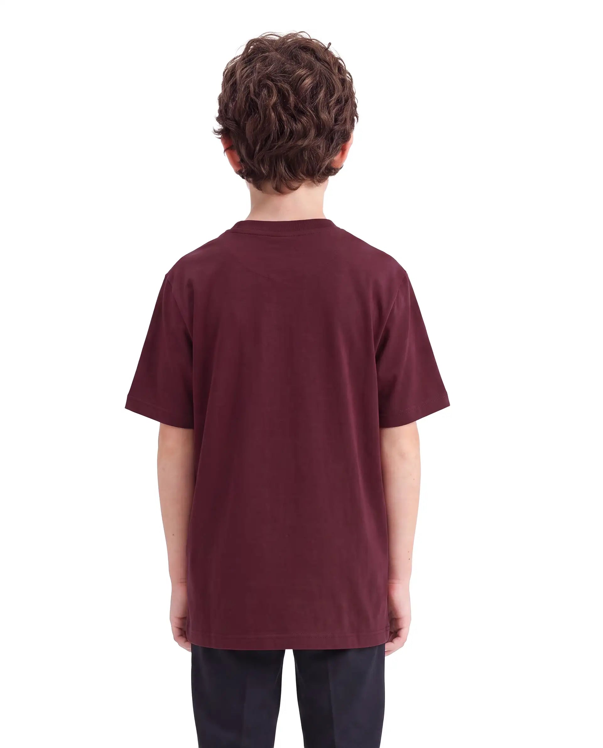 Rare Ones Kids Lupin Maroon Cotton Blend Fabric Pull-On Regular Fit Graphic Print T-Shirt